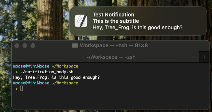 Screenshot 2024-11-08 at 10.24.02 PM